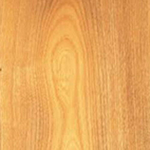 Hackberry Wood (樸木)